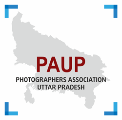 PAUP Logo